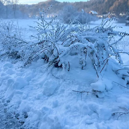 W Gorach, W Gorach , Przystanek Stodola , Beskidy , Velo Sola, Balia Ogrodowa, Rajcza, Rycerka *