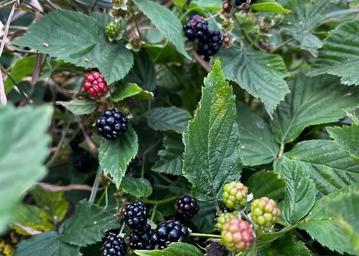 W Gorach, W Gorach , Przystanek Stodola , Beskidy , Velo Sola, Balia Ogrodowa, Rajcza, Rycerka Holiday home Rycerka Dolna