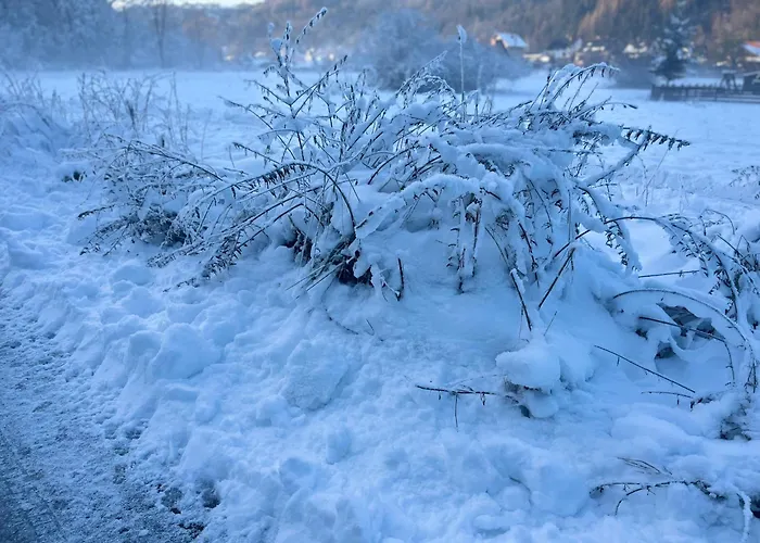 W Gorach, W Gorach , Przystanek Stodola Beskid Zywiecki Velo Sola *