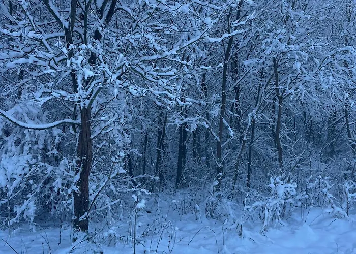 W Gorach, W Gorach , Przystanek Stodola Beskid Zywiecki Velo Sola * Rycerka Dolna