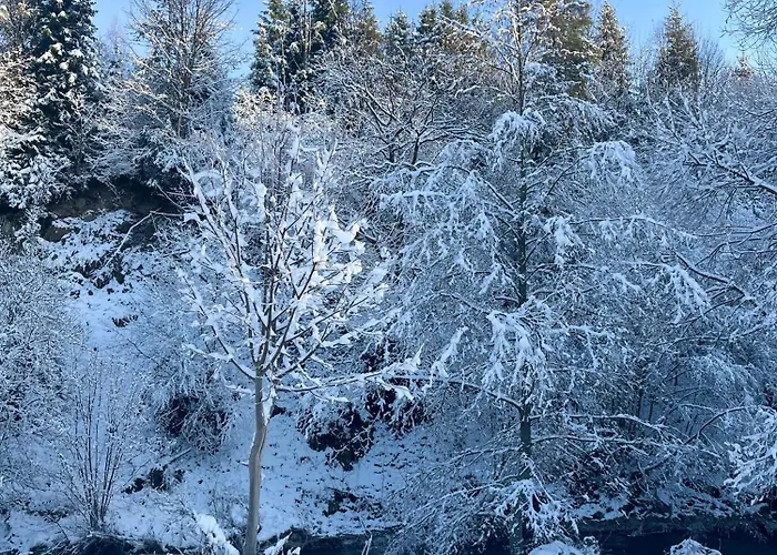 Prázdninový dům W Gorach, W Gorach , Przystanek Stodola Beskid Zywiecki Velo Sola